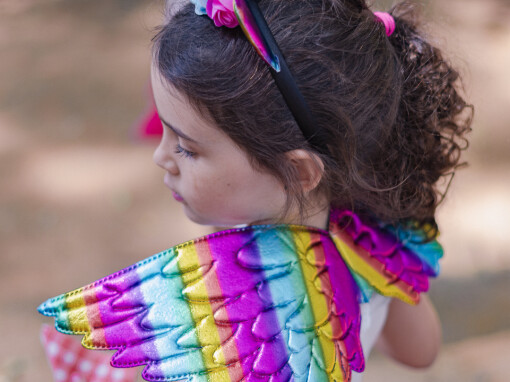 Aniversário no parque – Alice